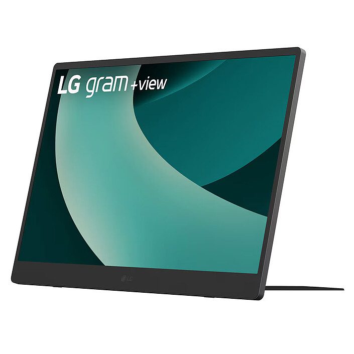 LG 17" LED - gram+view 1 écran pc LG 17 pouces