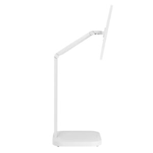 écran pc LG 31.5 pouces