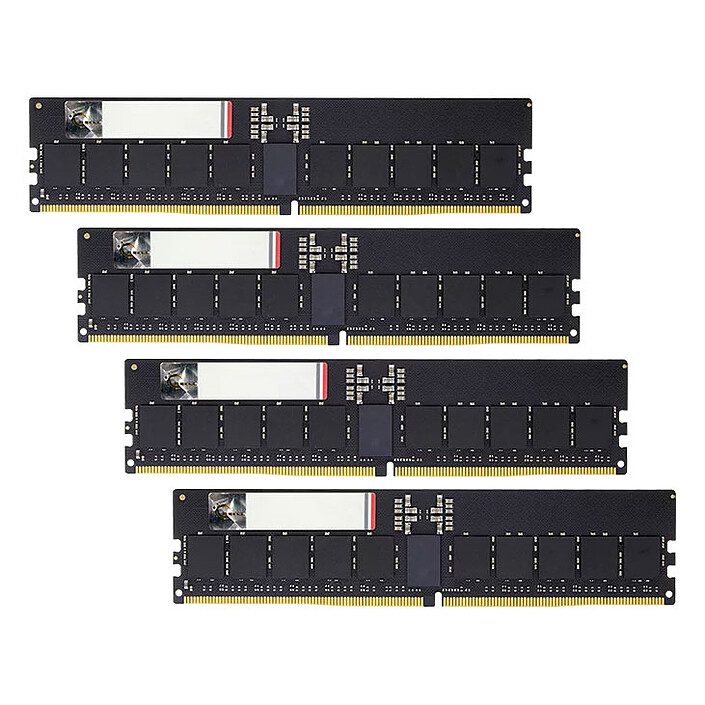 G.Skill G5 Neo 192 Go (4 x 48 Go) DDR5 ECC Registered 6400 MHz CL32 1 RAM G.Skill DDR5 6400 MHz 192 Go
