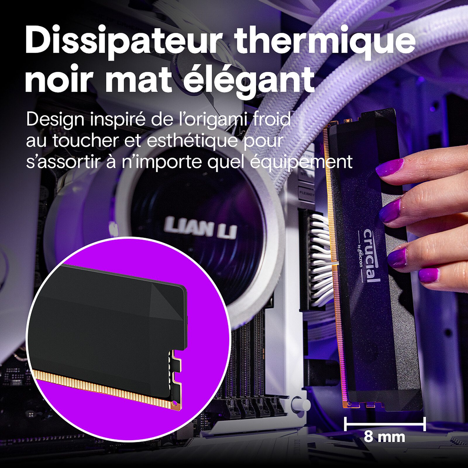 Crucial Pro DDR5 Overclocking 32 Go (2 x 16 Go) 6000 MHz CL36 Blanc 4 RAM Crucial DDR5 6000 MHz 32 Go